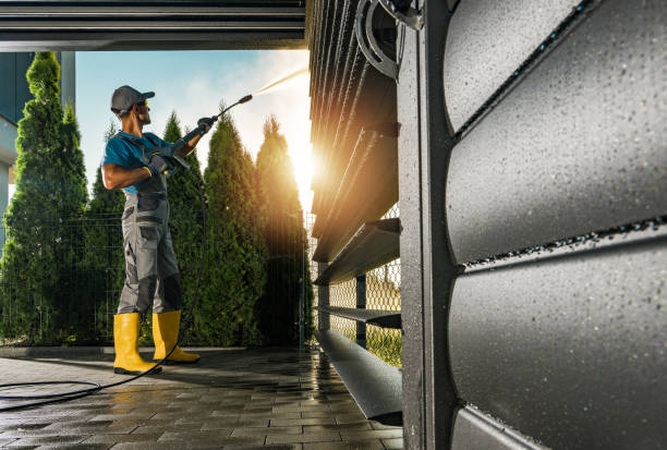 Animal Enclosure Cleaning in Chadwicks, NY